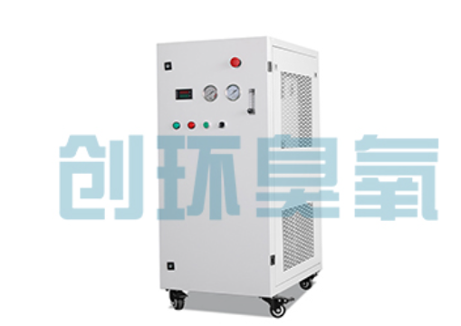 安阳石斑鱼养殖水质调控完整指南:臭氧发生器配置与操作步骤