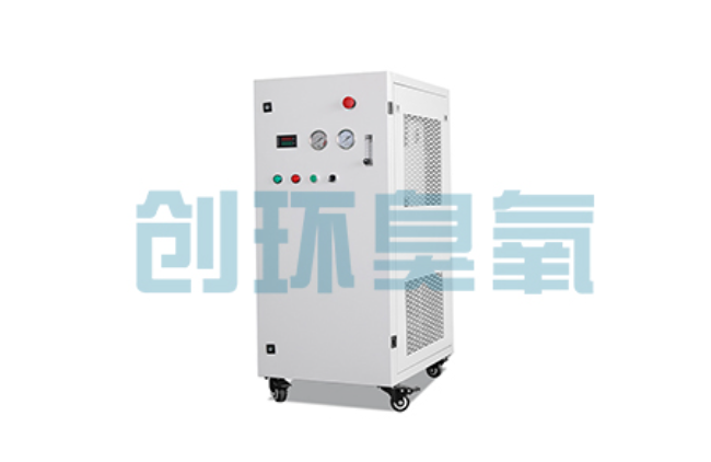 安阳比传统换水更高效?臭氧发生器在石斑鱼养殖中的水质净化原理解析